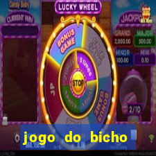 jogo do bicho estrela da sorte